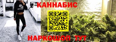 прущие грибы Нальчик