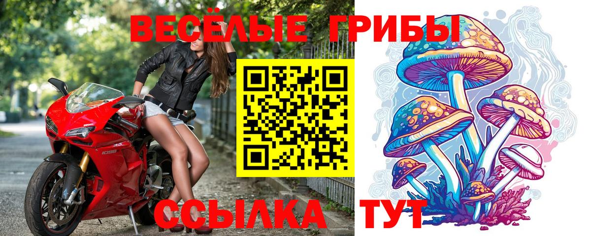 Галлюциногенные грибы прущие грибы Тимашёвск